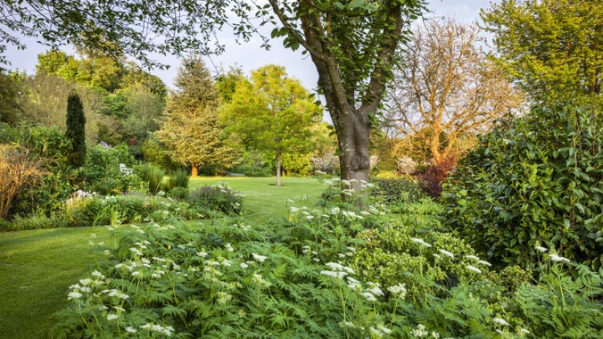 Curved borders with flowers in bloom, lawns and trees at Uppark, West Sussex